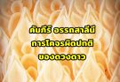 คัมภีร์ อรรถสาลีนี อธิบายการโคจรของดวงดาวตามหลักโหราศาสตร์