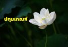 ปทุมเกณฑ์